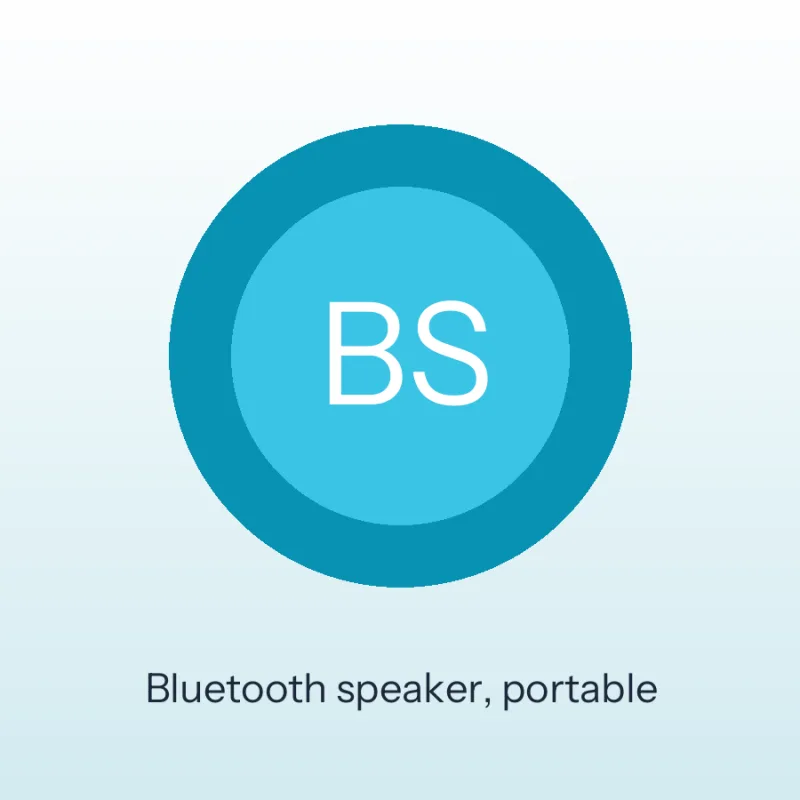 Bluetooth speaker, portable